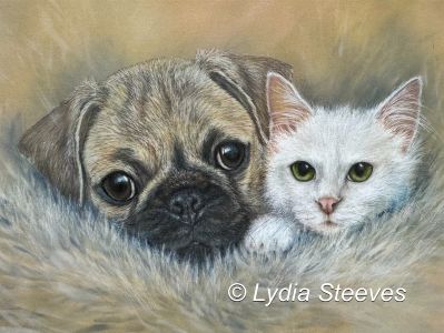 Jelly Bean and Kevin CP e-Packet